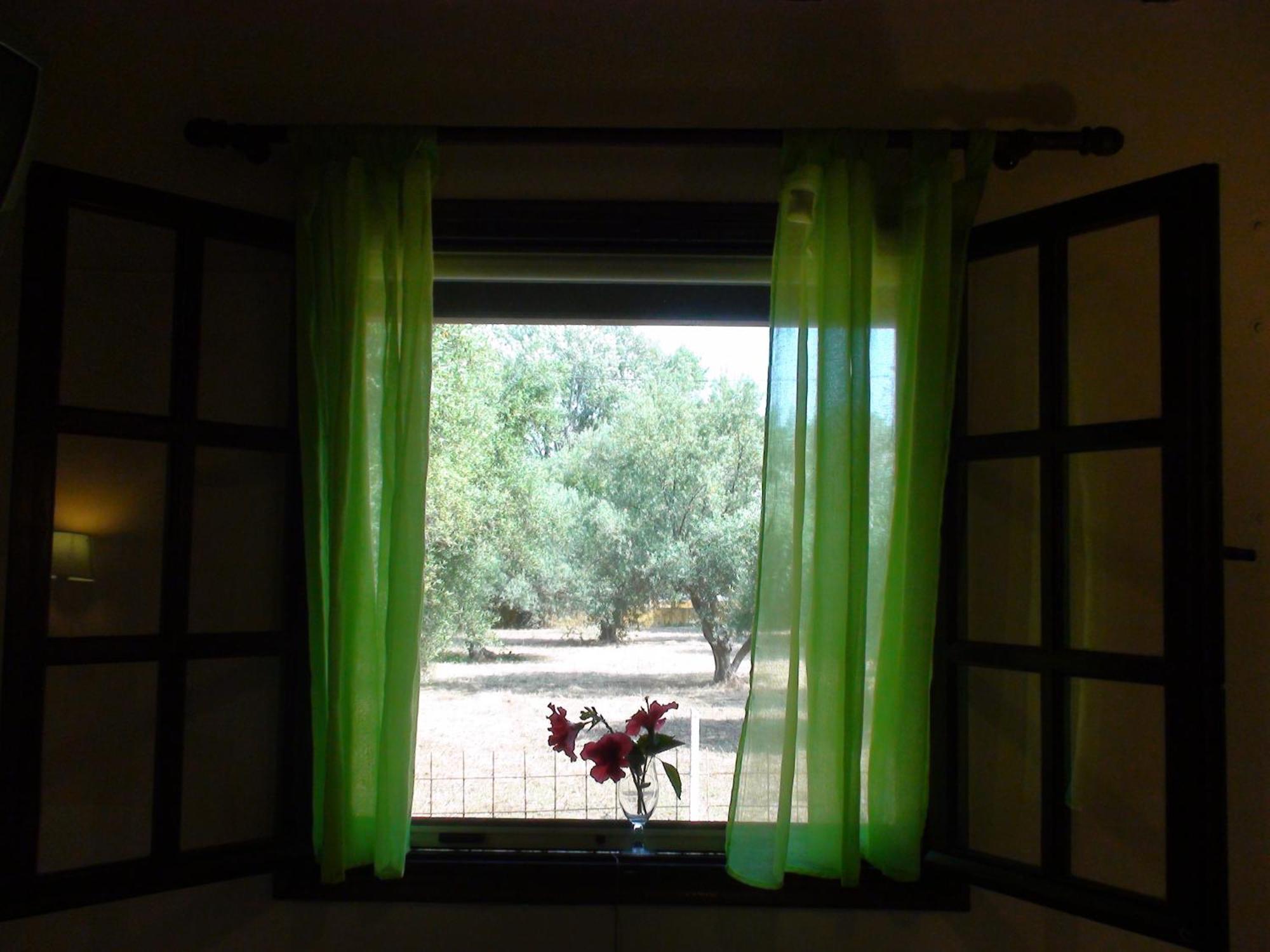 Marianthi Studios Λάσση Εξωτερικό φωτογραφία